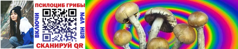 Псилоцибиновые грибы Psilocybine cubensis закладка Катайск