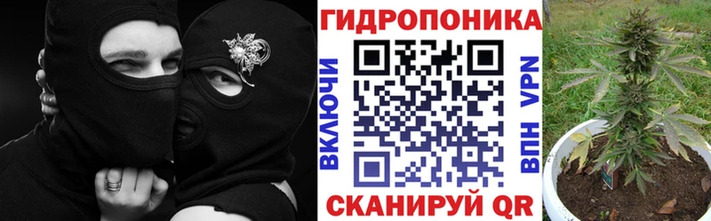 дарнет шоп  Катайск  Конопля White Widow 